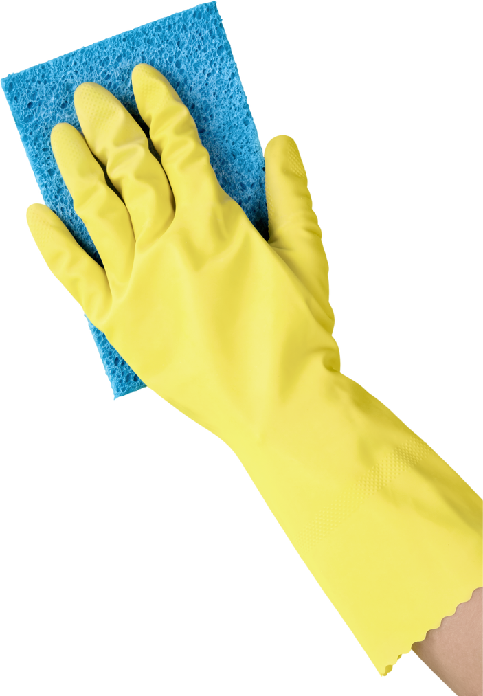 Hand in Rubber Glove  